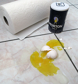 Morton Salt Egg